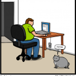 gato llamando tu atencion