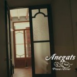 Anegats - Prova i Error (2011)