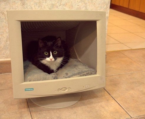 cama de gato para informaticos