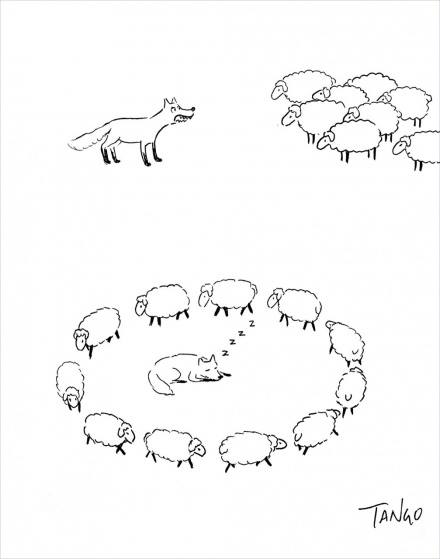 Como puede vencer un rebaño de ovejas a un lobo